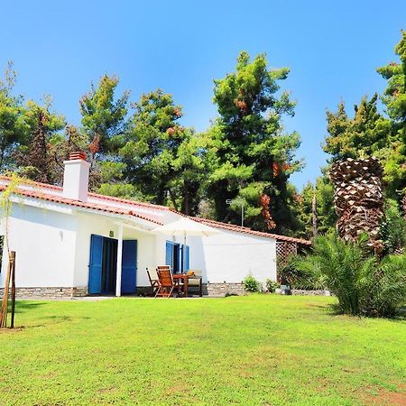 Ariadni Villa Sani Sani  Buitenkant foto