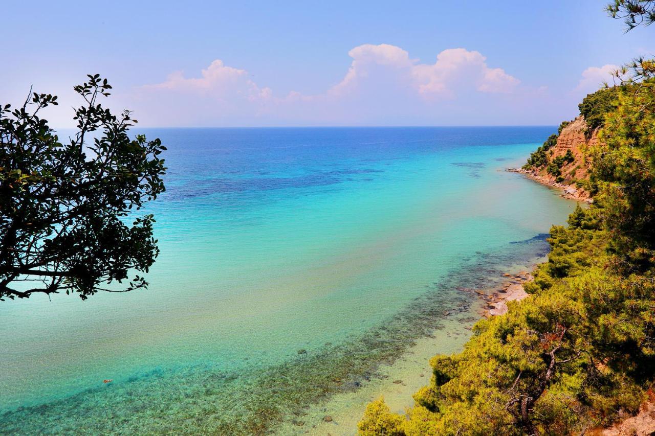 Ariadni Villa Sani Sani  Buitenkant foto