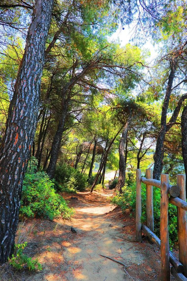 Ariadni Villa Sani Sani  Buitenkant foto