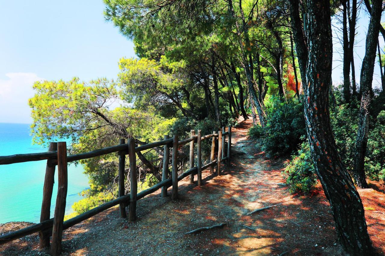 Ariadni Villa Sani Sani  Buitenkant foto