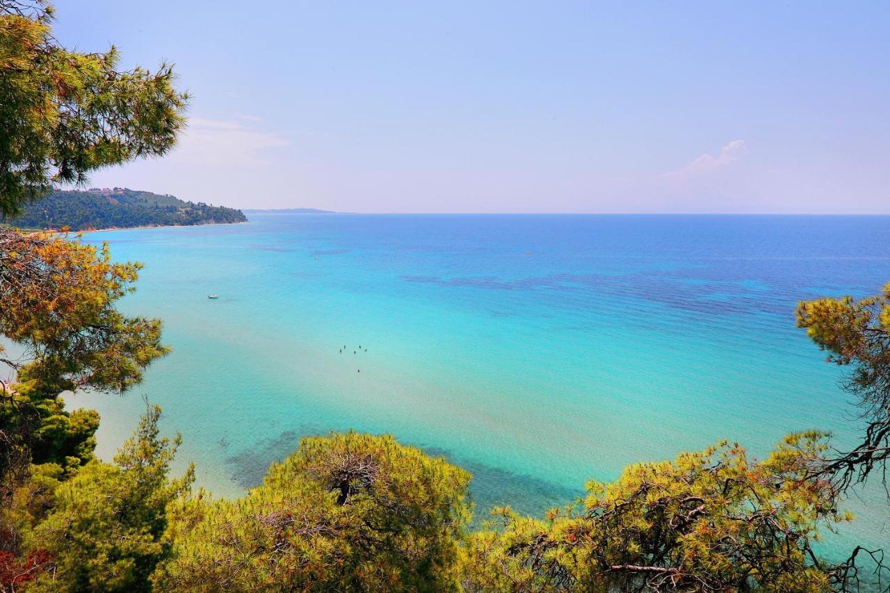 Ariadni Villa Sani Sani  Buitenkant foto