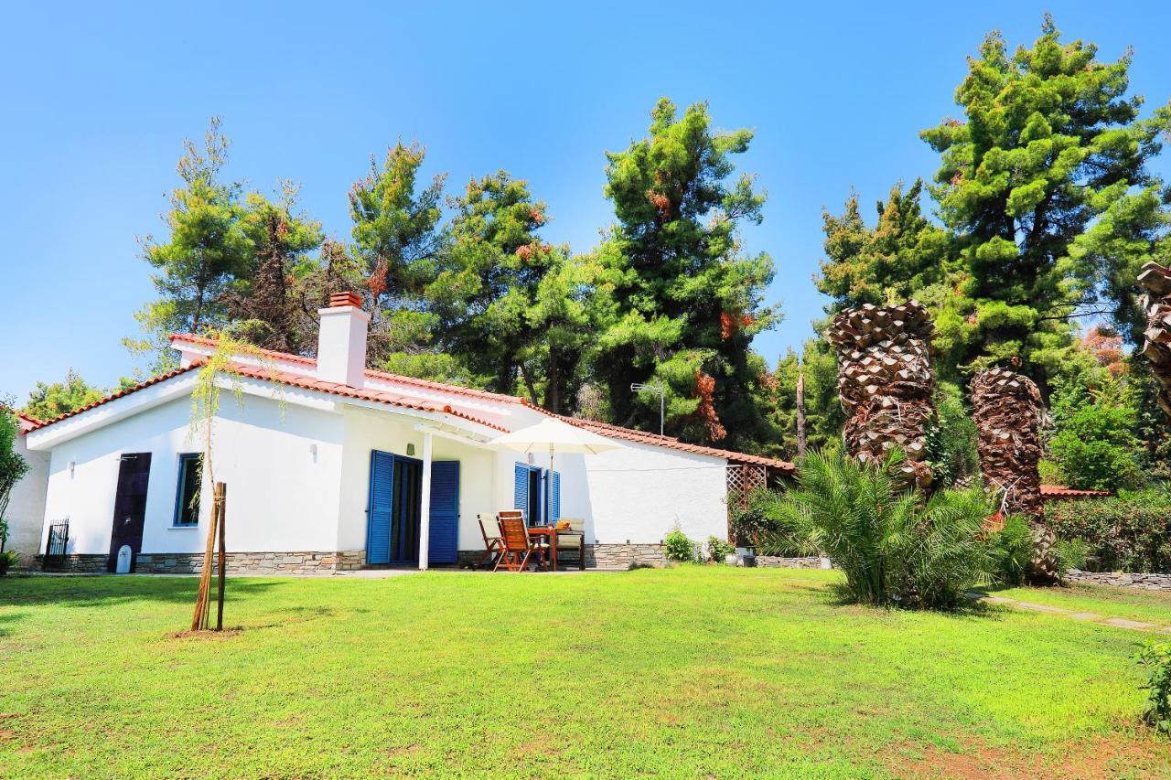 Ariadni Villa Sani Sani  Buitenkant foto