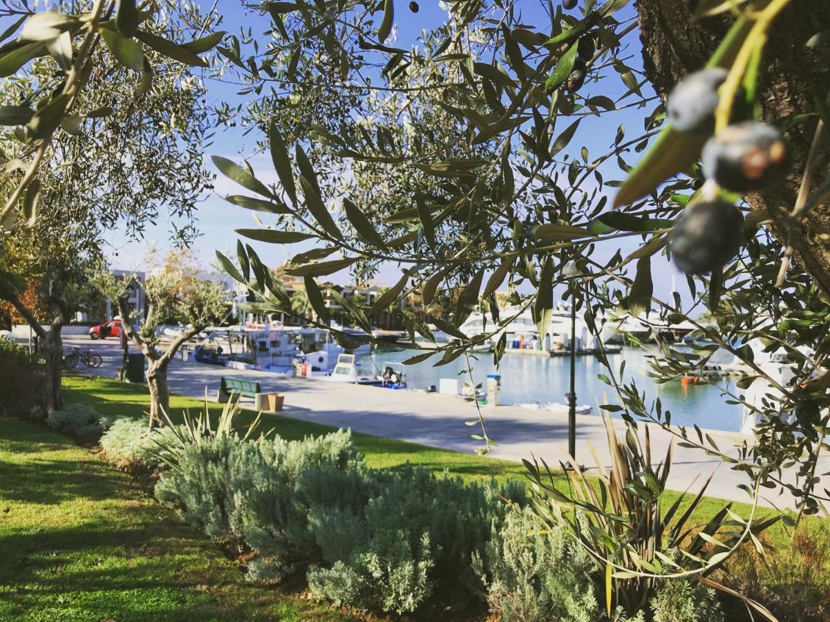Ariadni Villa Sani Sani  Buitenkant foto