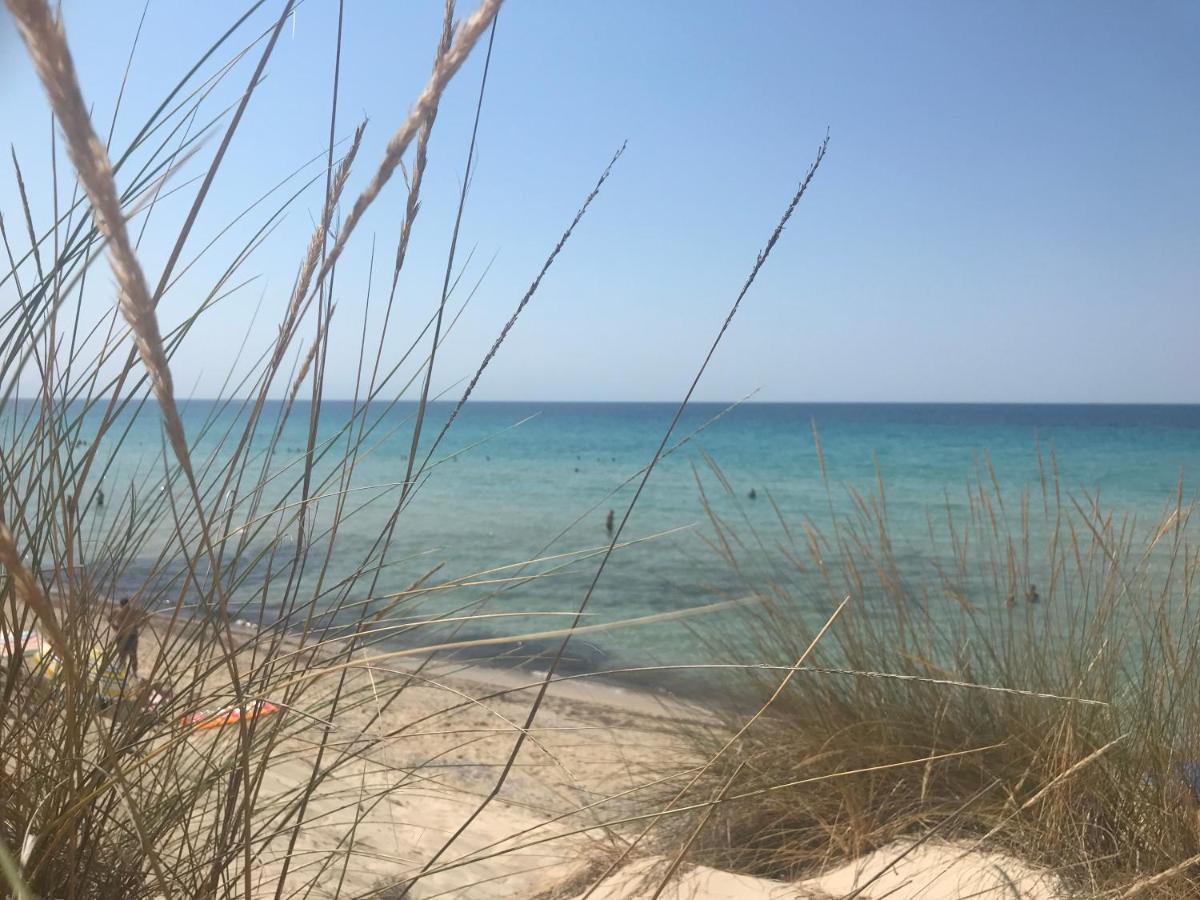 Ariadni Villa Sani Sani  Buitenkant foto
